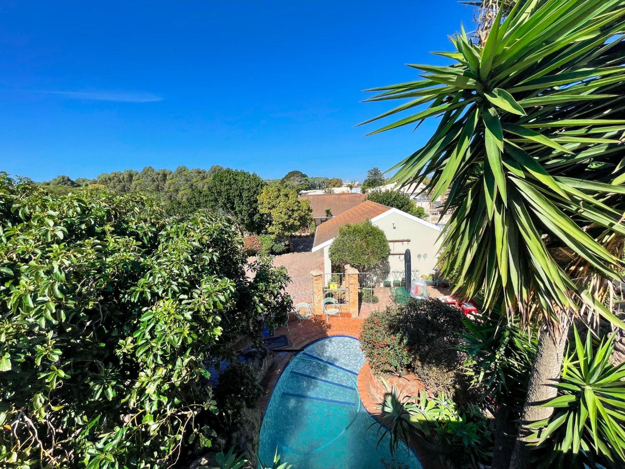 Albert Road Garden Guest House Port Elizabeth Exterior photo