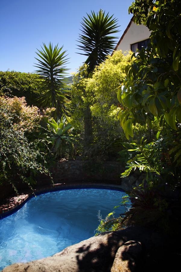 Albert Road Garden Guest House Port Elizabeth Exterior photo